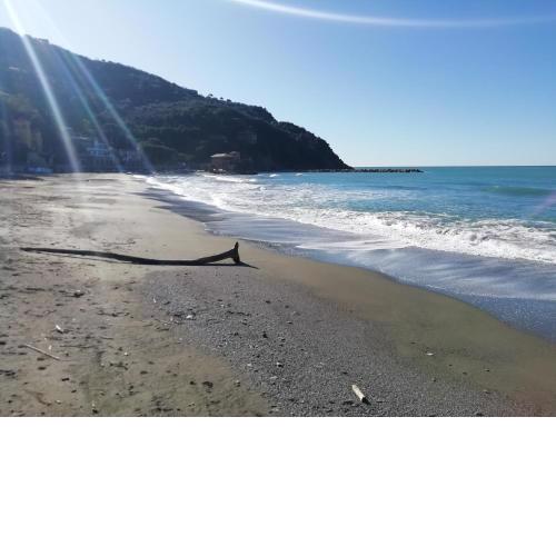 Attico del sole