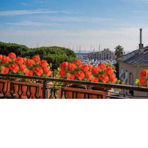 Attico porto di Loano