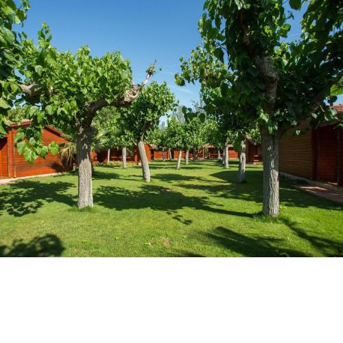 Attractive bungalow with a covered terrace, 1 km from beach