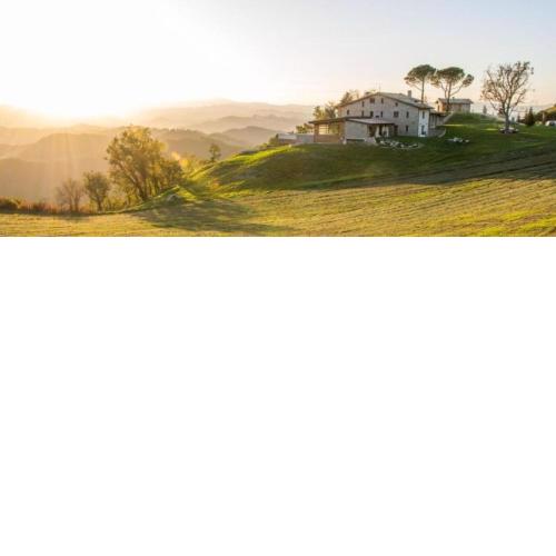 Aura Relais
