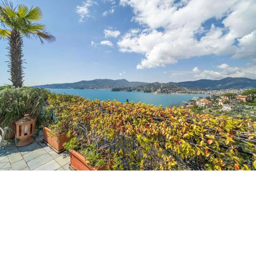 Aurelia Panoramic Seaside Apartment