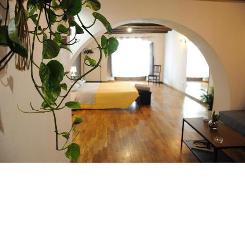 Aurora - Cool Loft