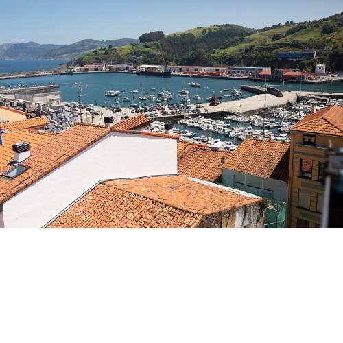 Aurrekoetxea 36 Vacation Rental, 5D