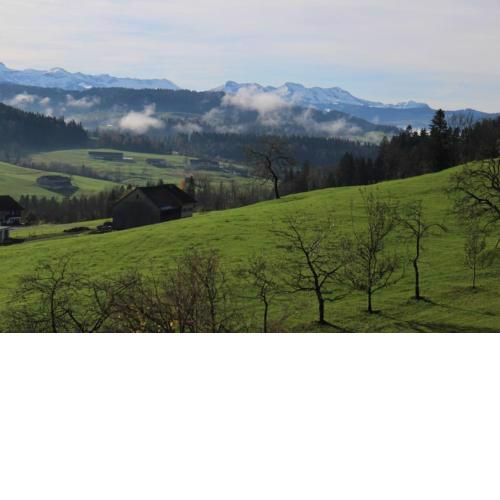 AuszeitHof Vögel