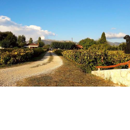 Authentic Country House in Zakynthos