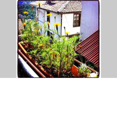 Authentic Guest Stay in the heart of Veliko Tarnovo Студио с изглед към Царевец