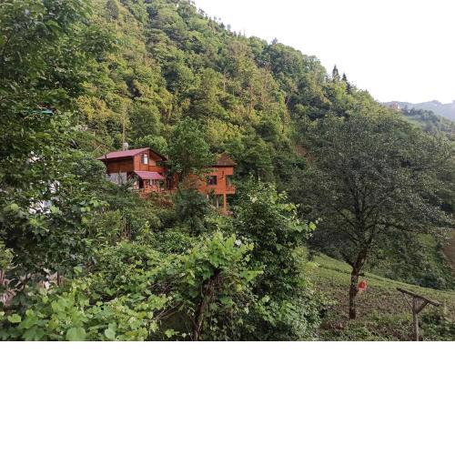 AVİTTE DAĞ EVLERİ