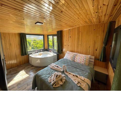 Avohomes