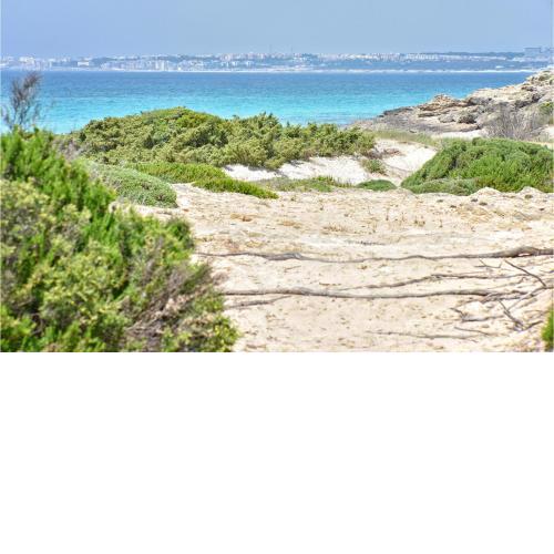Awesome apartment in Gallipoli with 2 Bedrooms