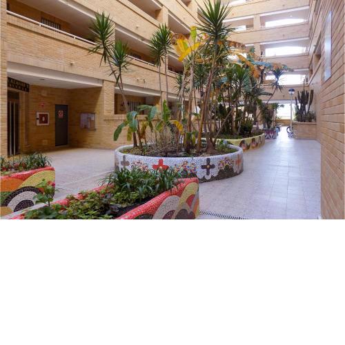 Awesome Apartment In Oropesa With Outdoor Swimming Pool, Wifi And 2 Bedrooms