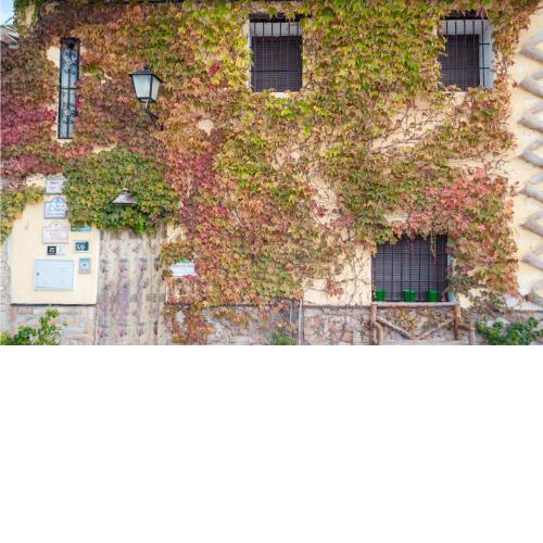 Awesome home in Arenas del Rey with 6 Bedrooms and WiFi