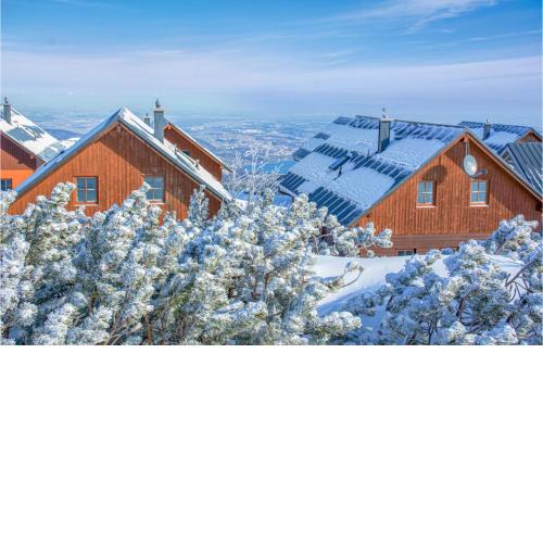 Awesome home in Ebensee with Sauna, WiFi and 5 Bedrooms