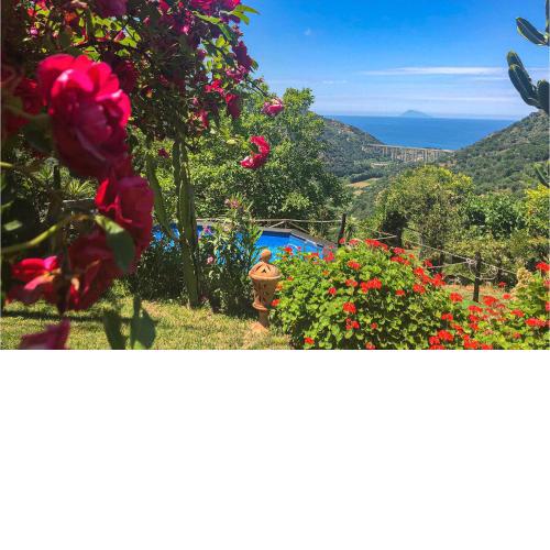 Awesome home in Ficarra with 5 Bedrooms, Private swimming pool and Outdoor swimming pool