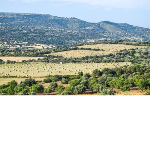 Awesome home in Ragusa with 3 Bedrooms and WiFi