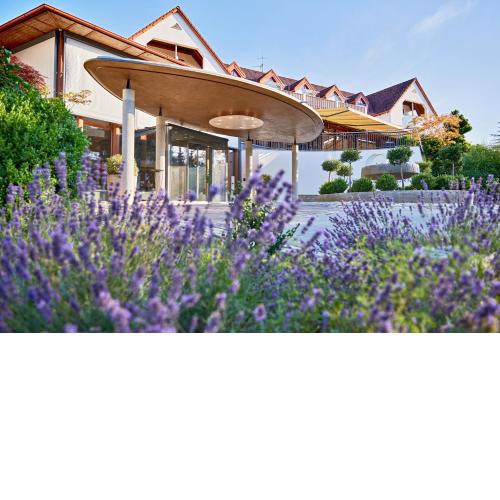 Ayurveda Resort MANDIRA