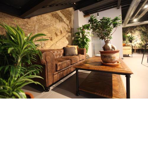AZ The Botanic Hostel