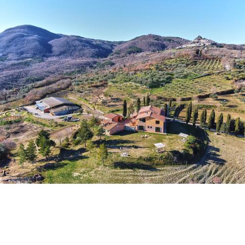 Az.Agr. Il Cavalleggero