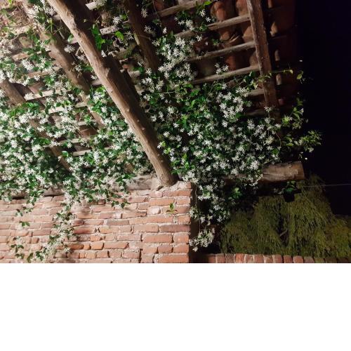 Az.Agr.Cascina Moretta