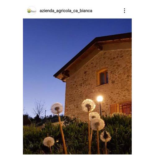 Azienda agricola Ca' Bianca Bio