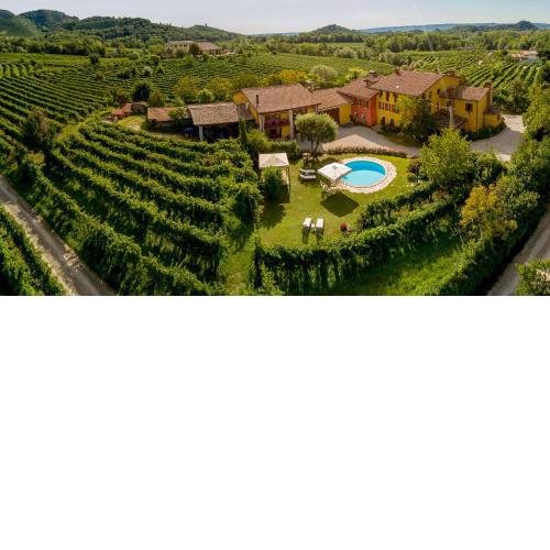 Azienda Agricola Campion