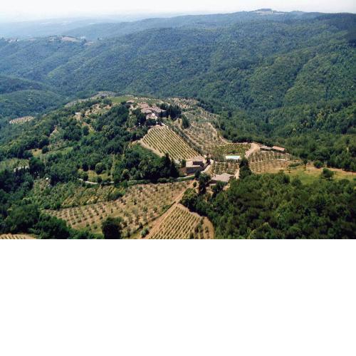 Azienda Agricola di Fietri