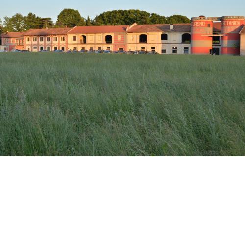 Azienda Agricola La Botanica