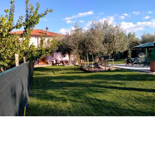 Azienda Agricola "Valle dell'Alento"