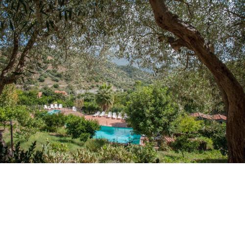 Azienda Agrituristica Bergi