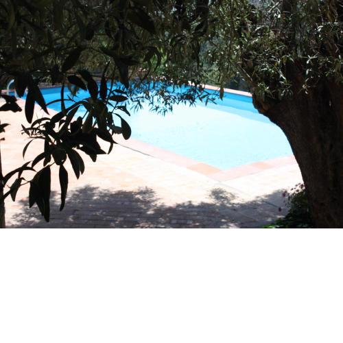 Azienda Agrituristica Le Puzelle