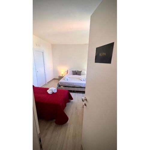 B & B Domus San PietRo