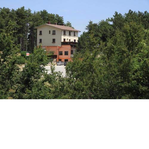 B & B La Pineta By La Capannina