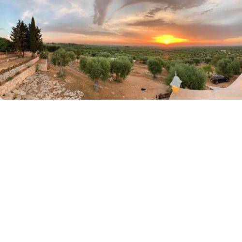 B & B Monte Adamo
