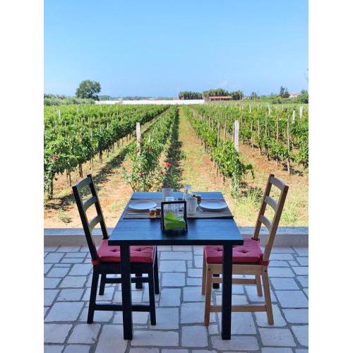 B & B Vigna Di Filippo - Paestum