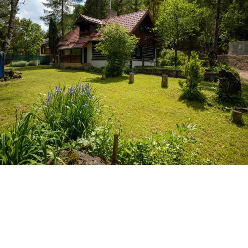 Baby Bear Cottage