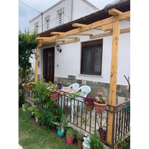 BACI HOUSE