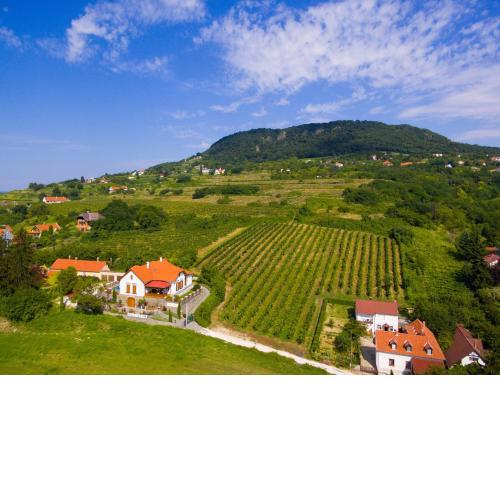 Badacsony Villa Ria