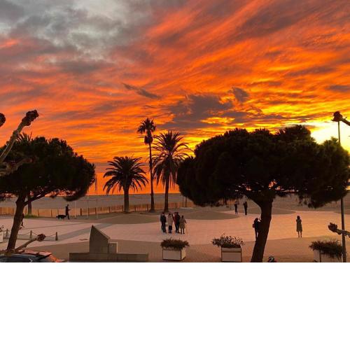 Badia de Roses 2