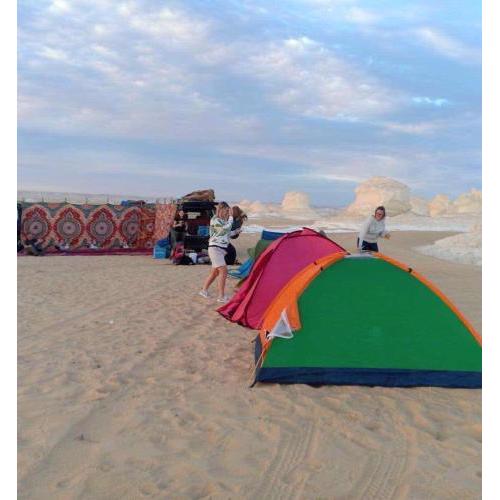 Bahariya oasis
