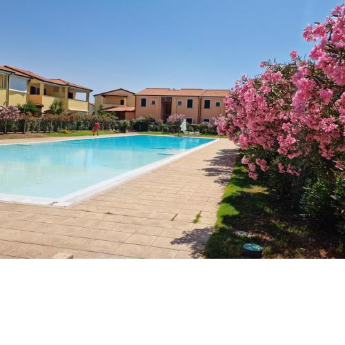 Baia delle mimose Endless Summer