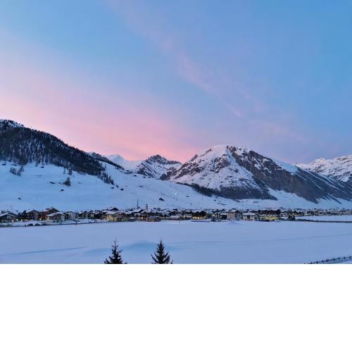 Bait Panorama