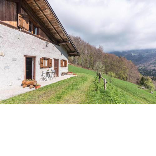 Baita Rustica immersa nel verde