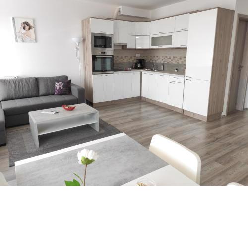 Bajcsy Apartment
