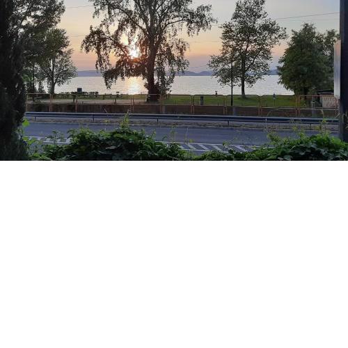 Balatonra panoramas fahaz stranddal szemben