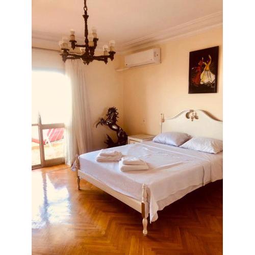 Balcony Penthouse - Spacious, Best Location