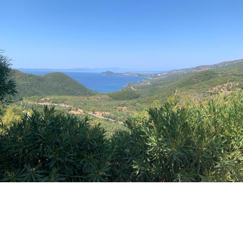 Μπαλλας Παναγιωτης BallasStudios