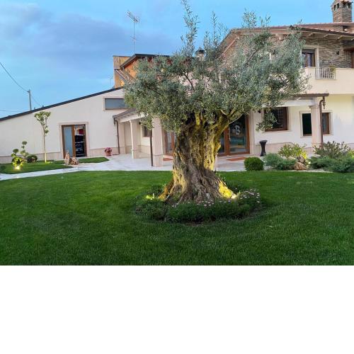 Balneum Rooms & SPA