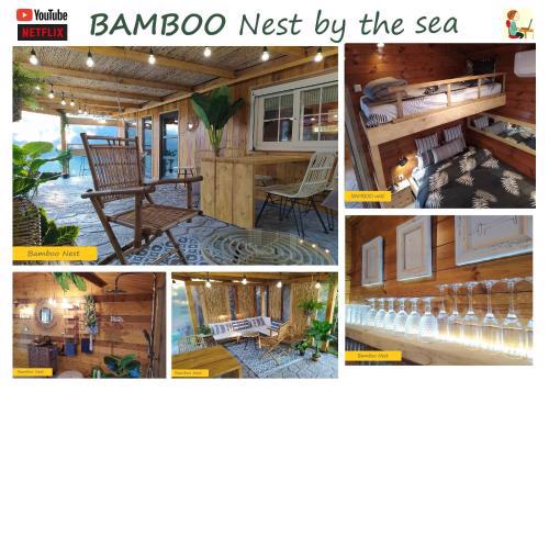 BAMBOO Nest