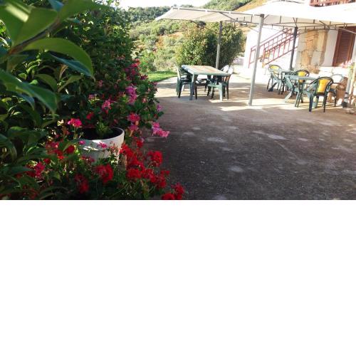 Bandi House