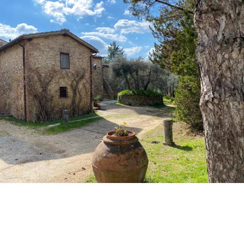 Bandita - Tenuta di Montechiaro