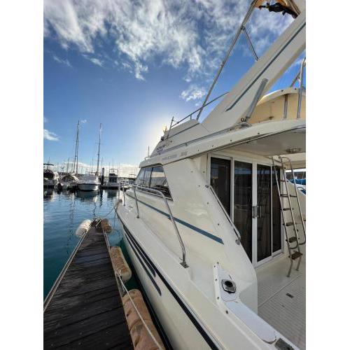 Barco Princess Cachucho Fly